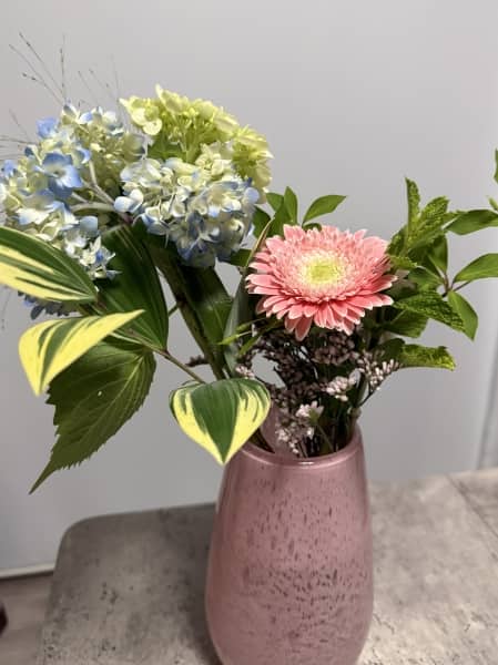 紫陽花