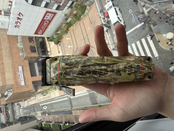 新しい相棒